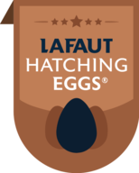 Hatching eggs