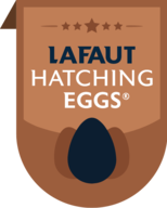 Huevos para incubar